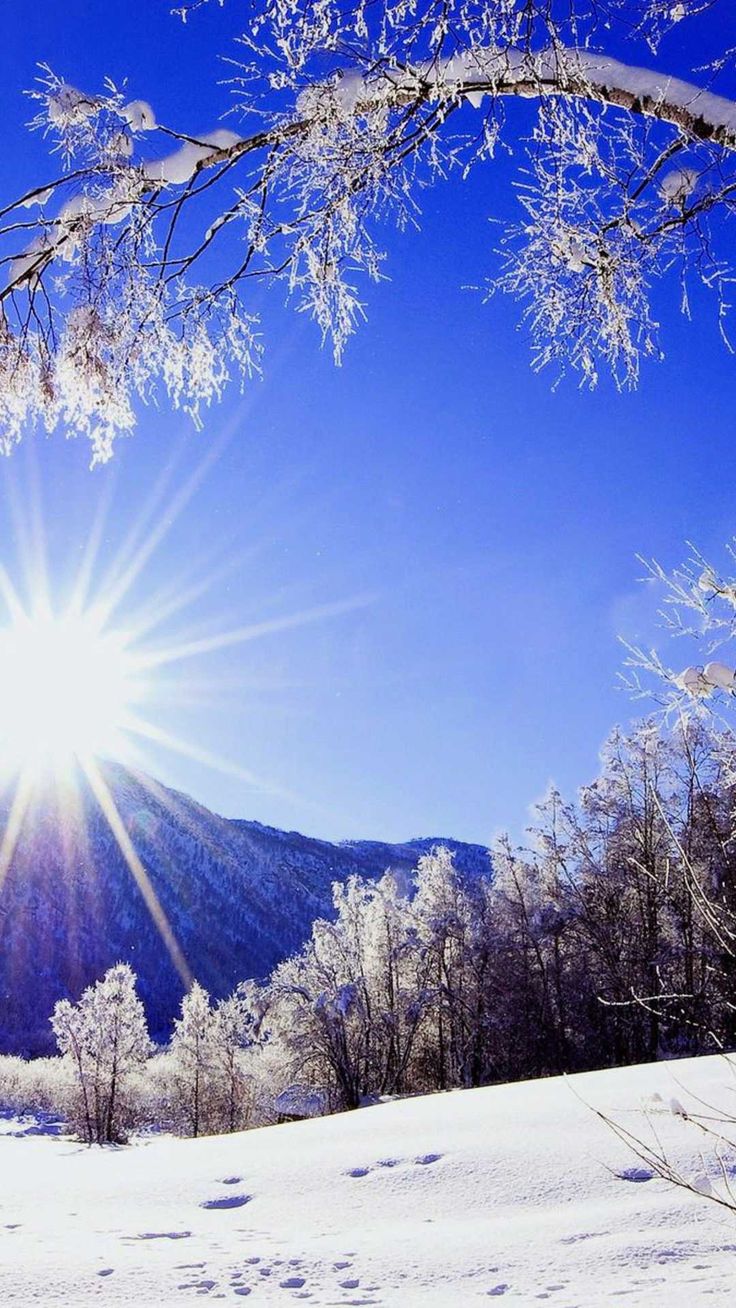 Cold Wallpaper Discover more Absolute Zero, Atmosphere, Cold, Subjective Perception, Temperature wallpape. Winter wallpaper, Winter wallpaper hd, Nature wallpaper