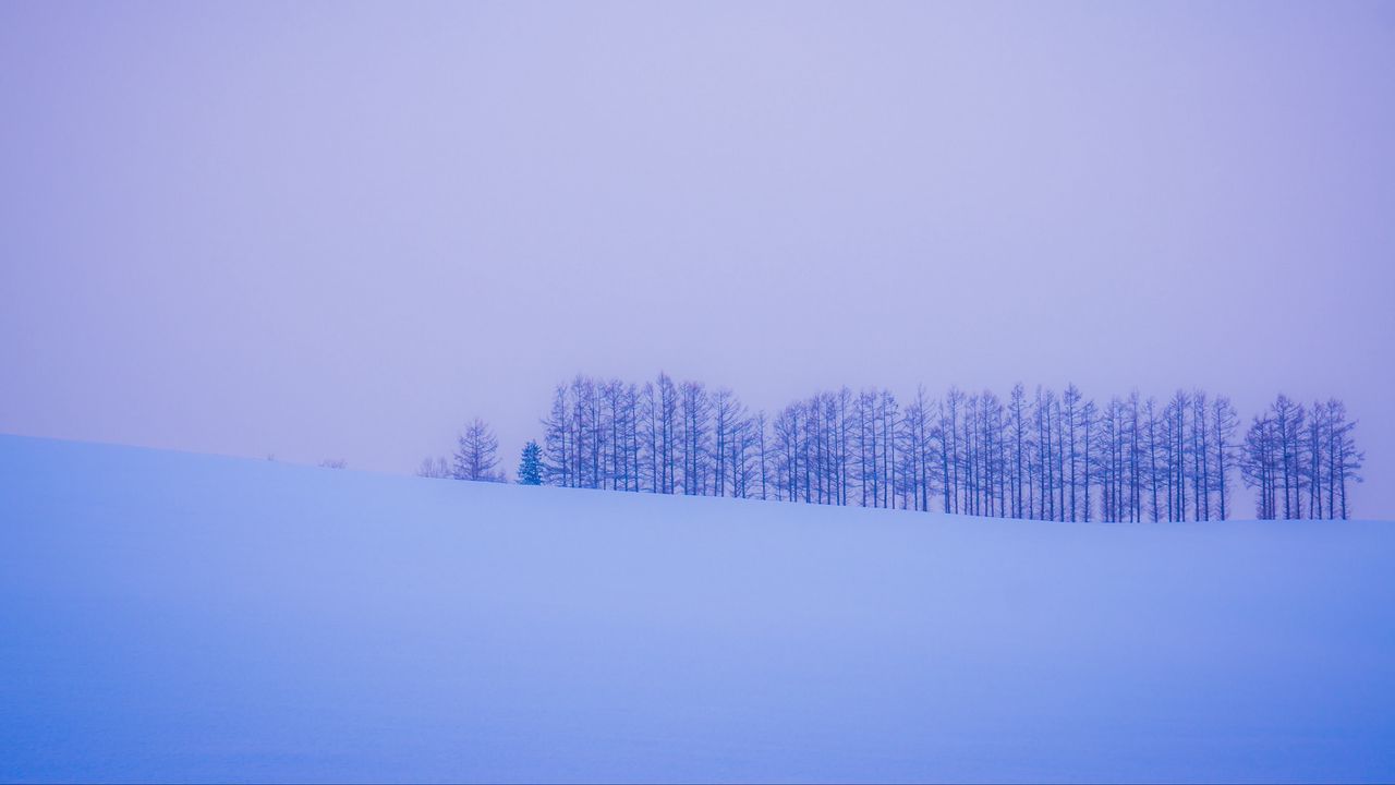 Wallpaper trees, snow, winter, minimalism, horizon hd, picture, image