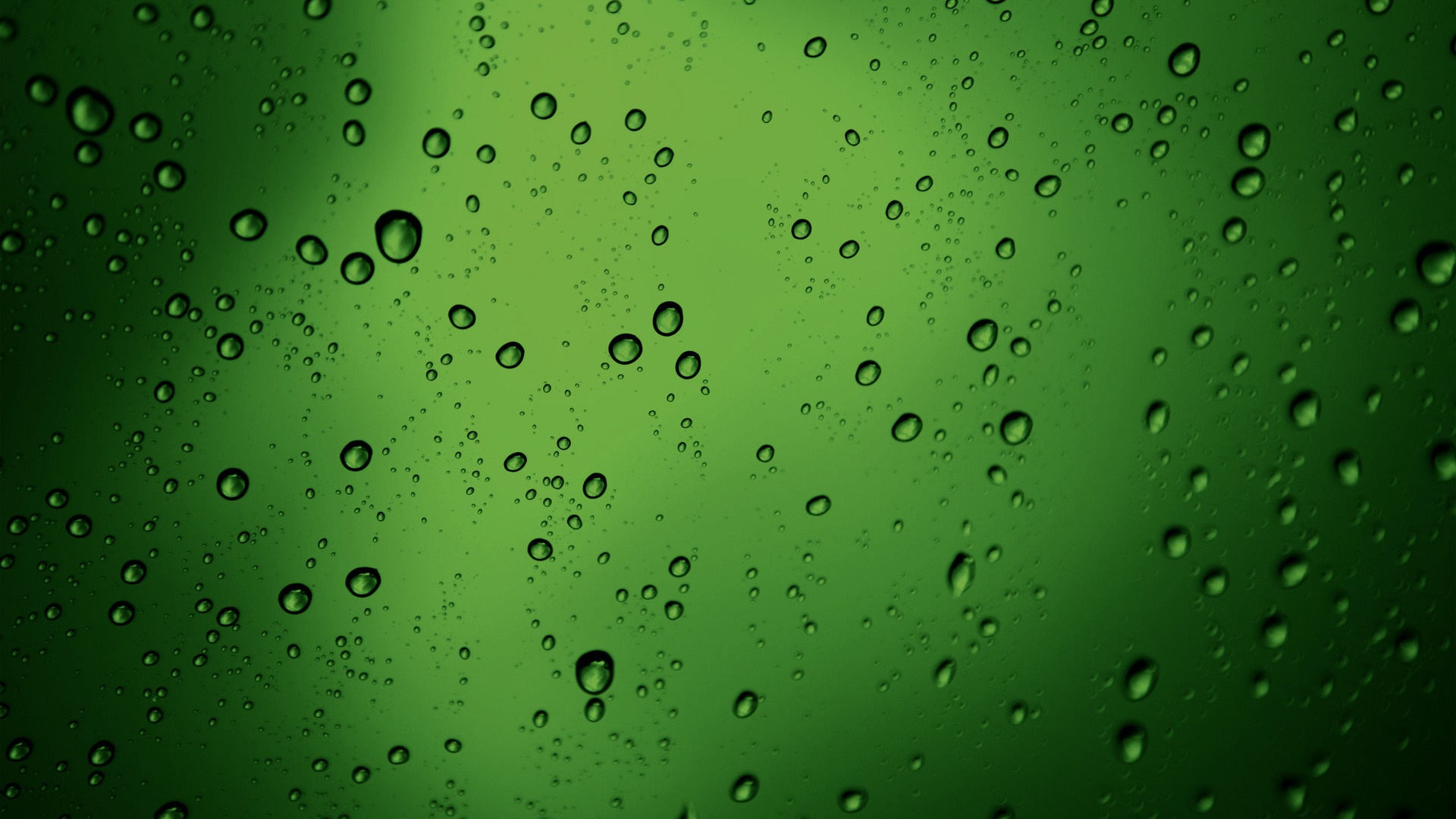 Green Wallpaper