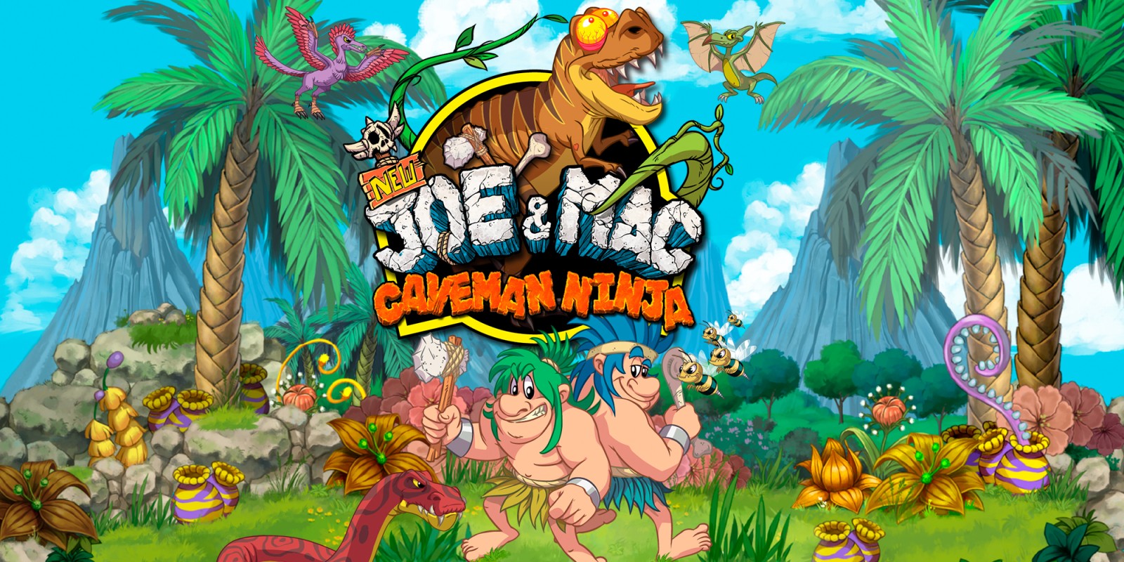 NEW Joe & Mac Ninja. Nintendo Switch games