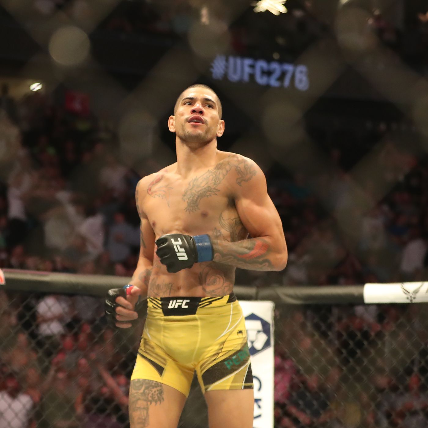 Alex Pereira sims UFC 281 clash with Israel Adesanya