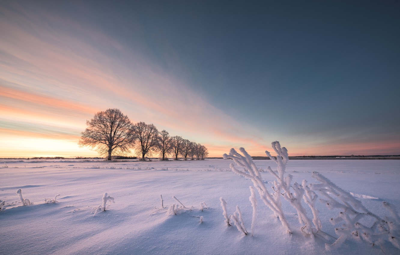 Wallpaper winter, field, snow image for desktop, section пейзажи