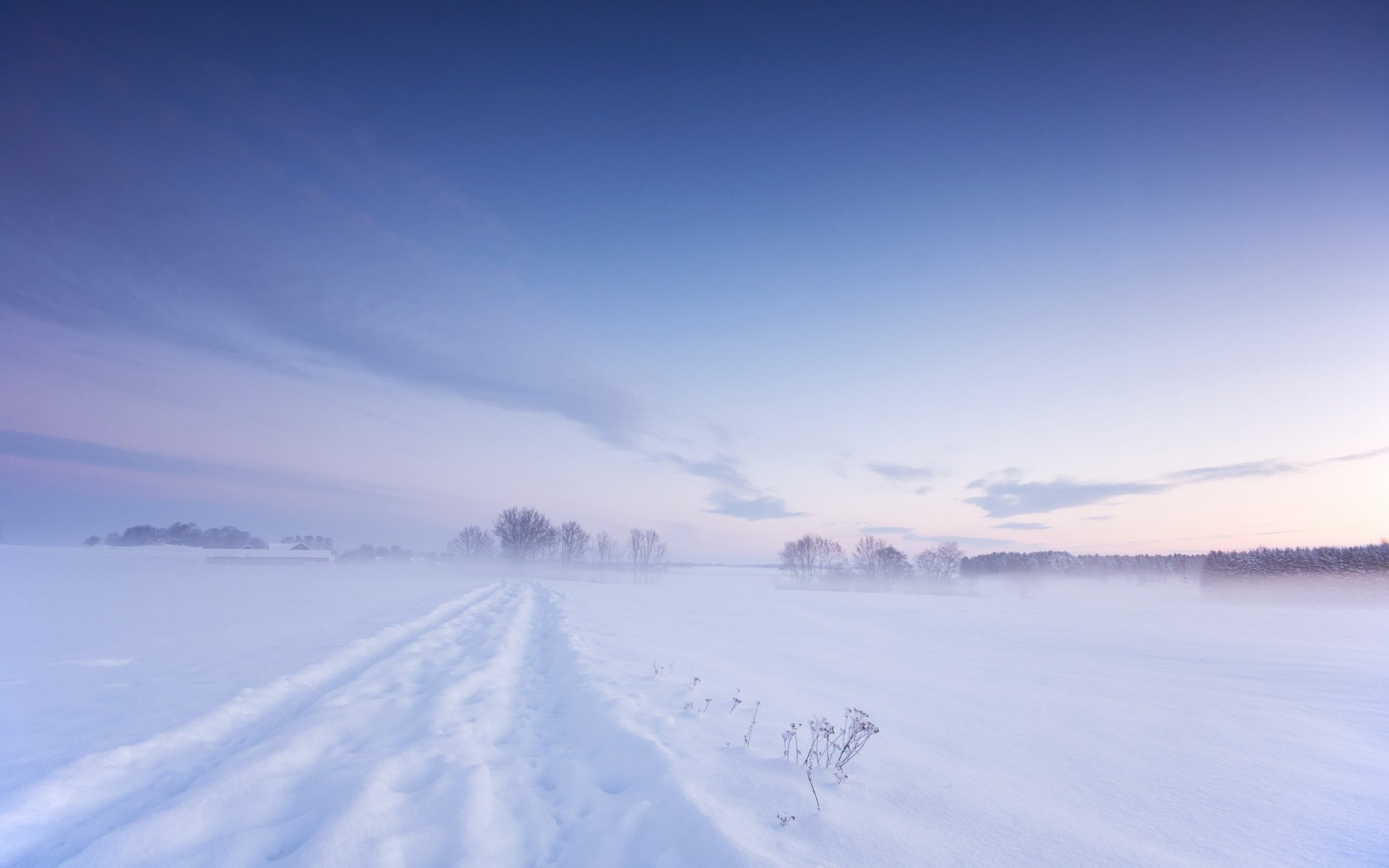 Snow Winter Field HD wallpaper
