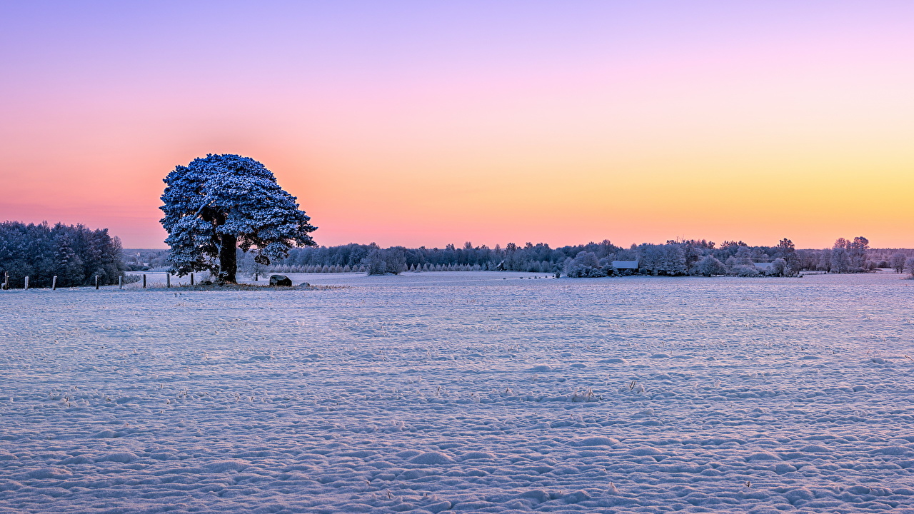 Desktop Wallpaper Winter Nature Snow Fields