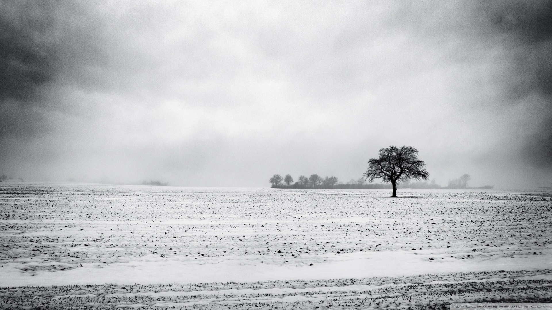 Empty Field, Winter Ultra HD Desktop Background Wallpaper for 4K UHD TV, Multi Display, Dual Monitor, Tablet