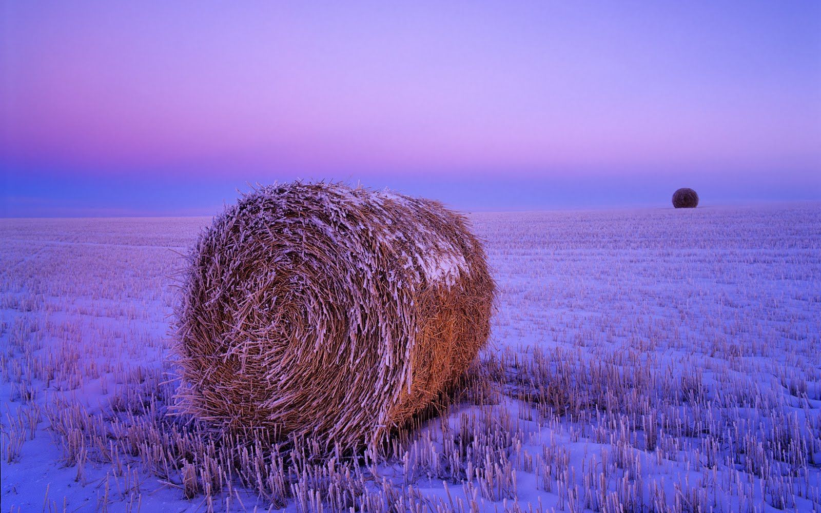 Wheat straw bale in a snowy field at dawn, North Dakota, United States
