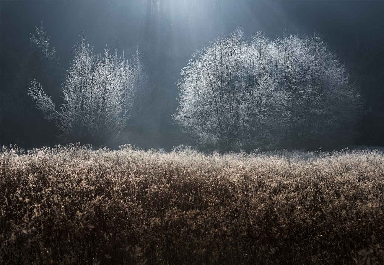 Winter Field Wall Paper Mural. Buy at Abposters.com