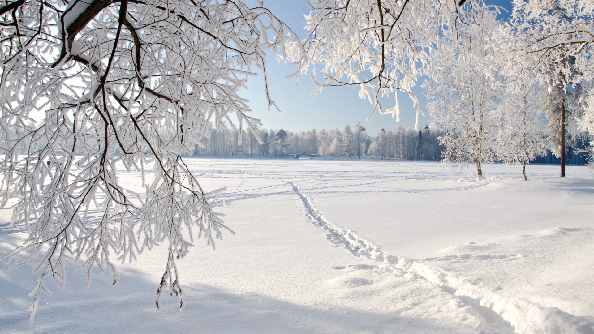 Download Wallpaper Snow Winter Field Traces Footprints, 1920x1080, Footprints In The Snow Covered Field