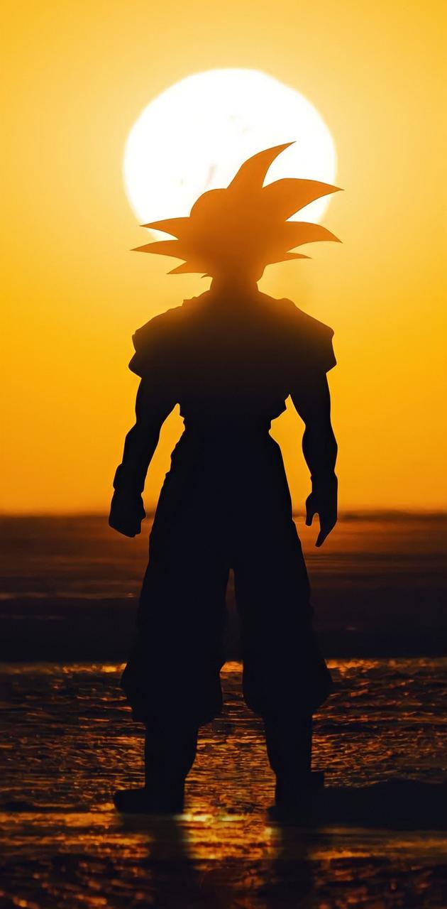 Goku Sunset Wallpaper
