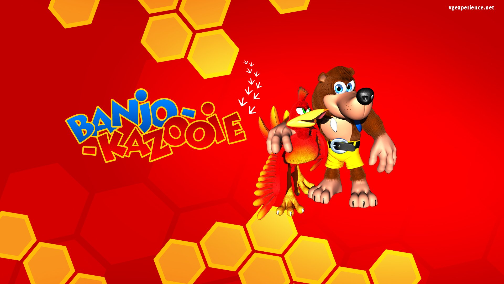 Banjo Kazooie Kazooie Wallpaper