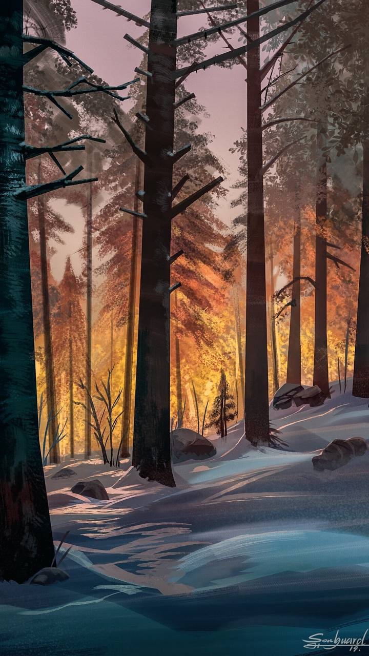 Winter Forest Wallpaper, iPhone Wallpaper
