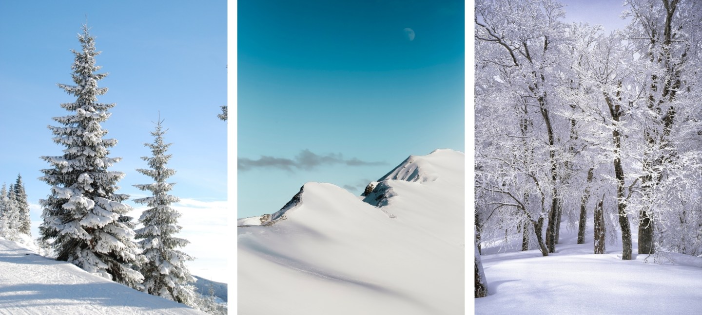 Free HD Winter Wallpaper Background For iPhone of the Snow