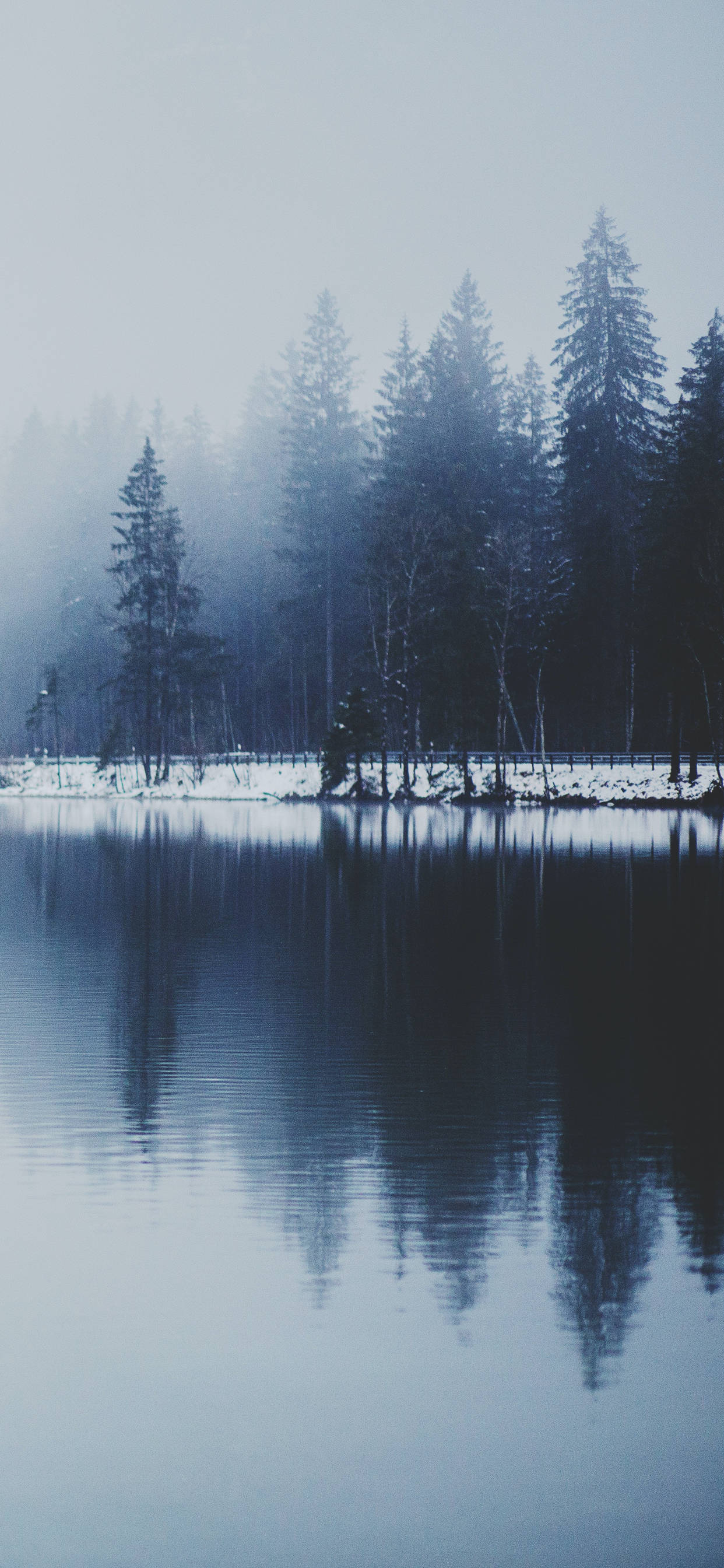 Download Winter iPhone Misty Lake Wallpaper