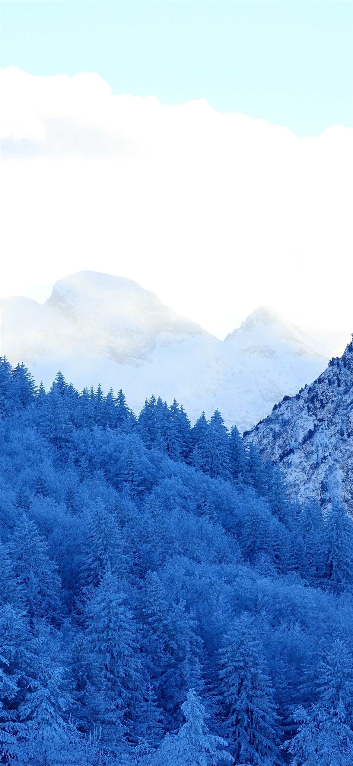 mountains snow fir forest winter iPhone Wallpaper Free Download