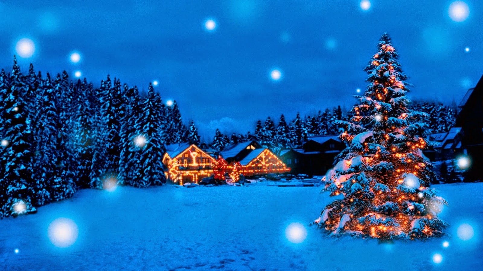 Christmas Tree Winter HD Wallpaper 1983 1600x900 px Picky