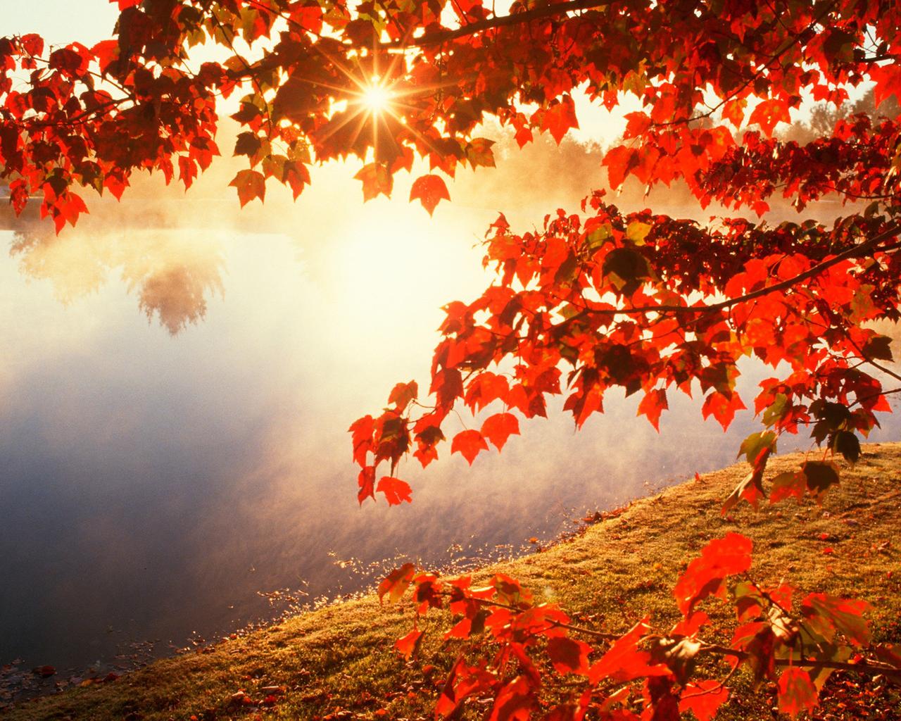 Good morning Autumn sunlight