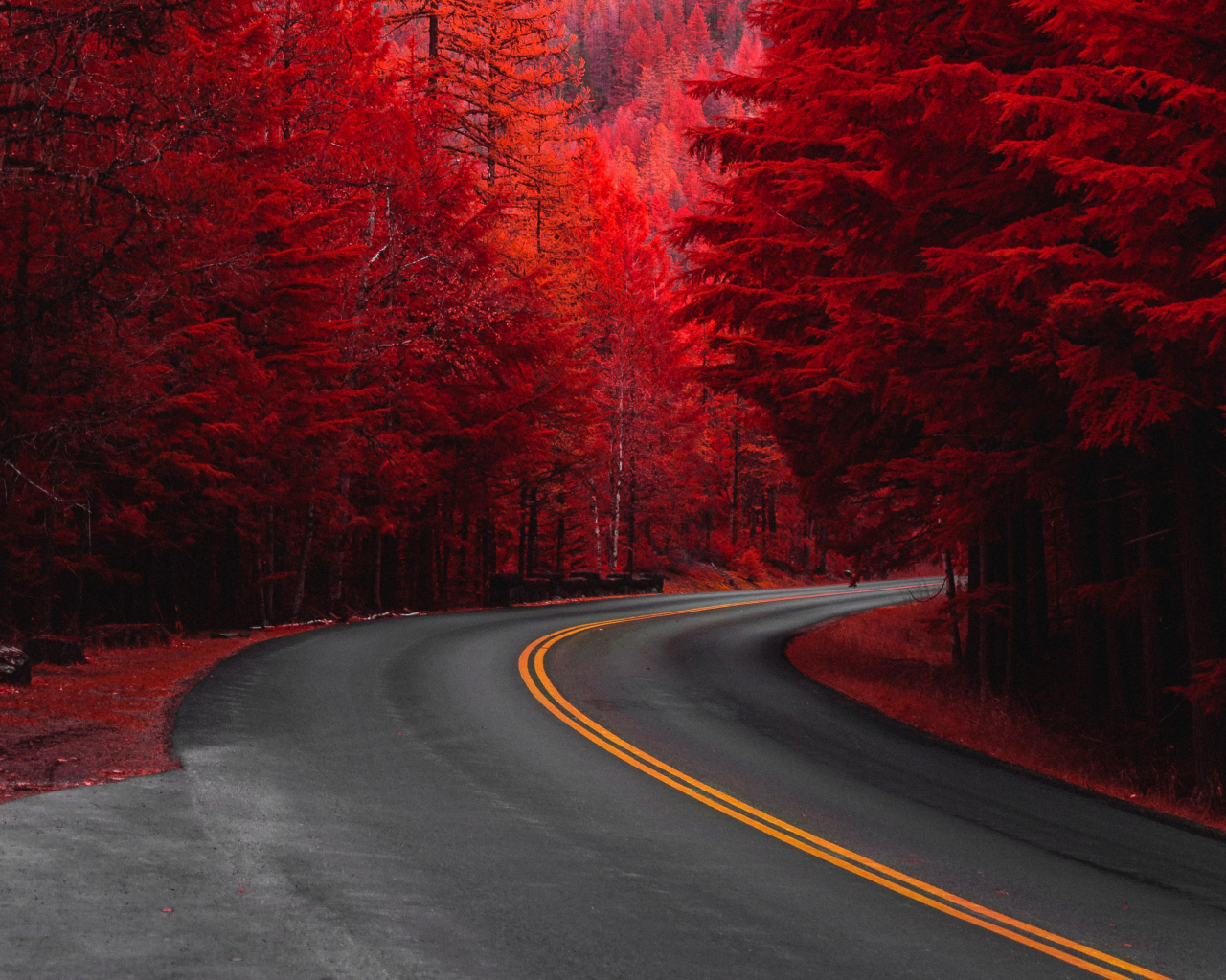 Download wallpaper 1280x1024 road through pine trees, red, standard 5:4 fullscreen wallpaper, 1280x1024 HD background, 23925