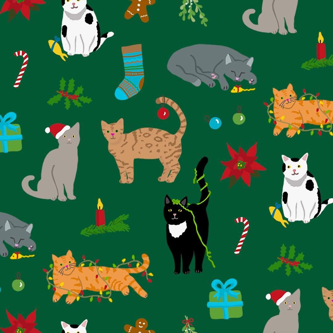 75 Cartoon Cat Wallpaper  WallpaperSafari
