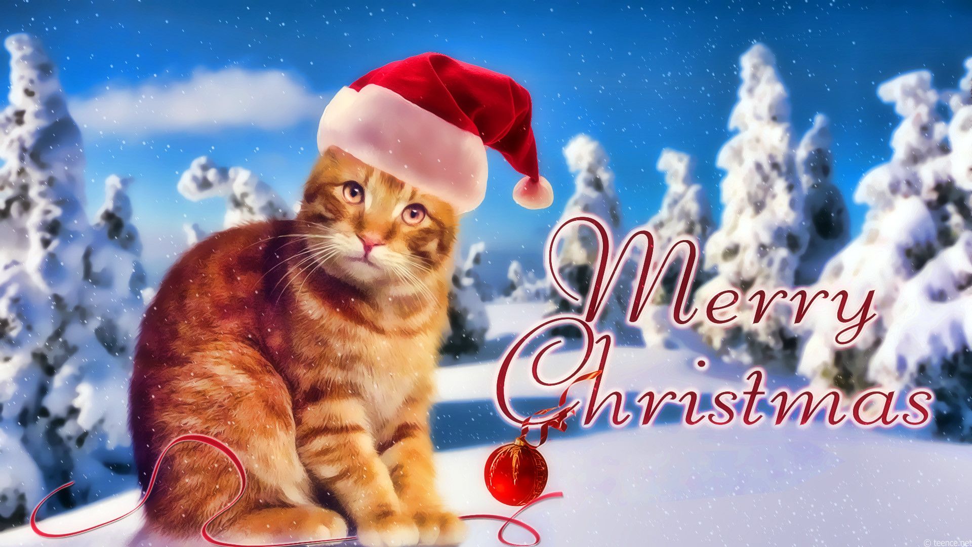 Marry Christmas Cat wallpaper. Christmas cats, Cat wallpaper, Christmas wallpaper free