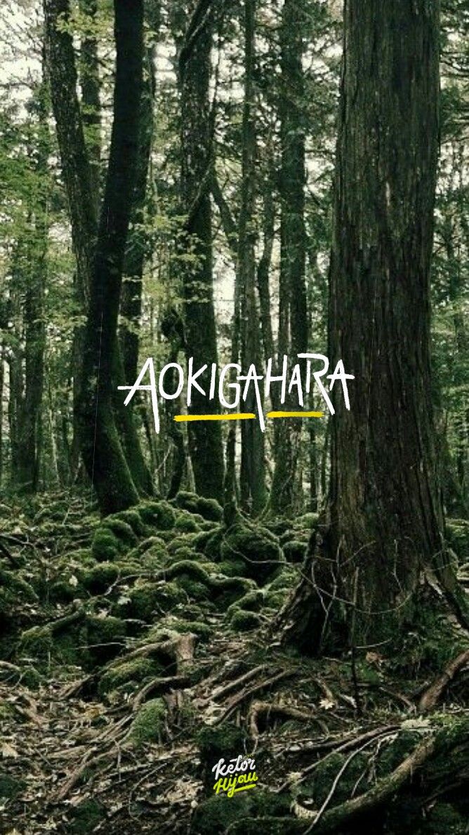 Пин от пользователя vita MD на доске Horor. Пейзажи, Страшные фото, Места