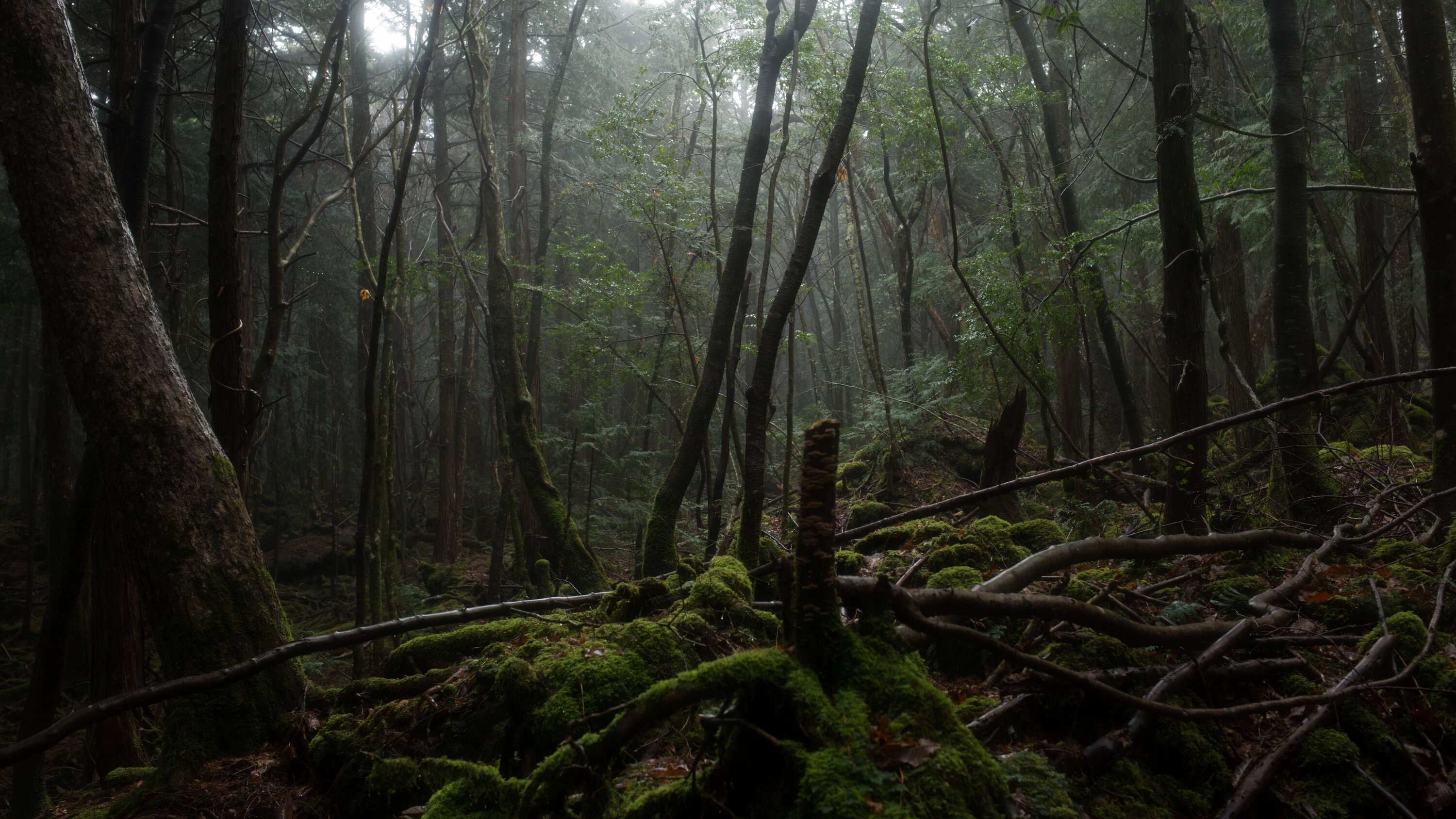 Dark Tourism: Destinations of Death, Tragedy and the Macabre