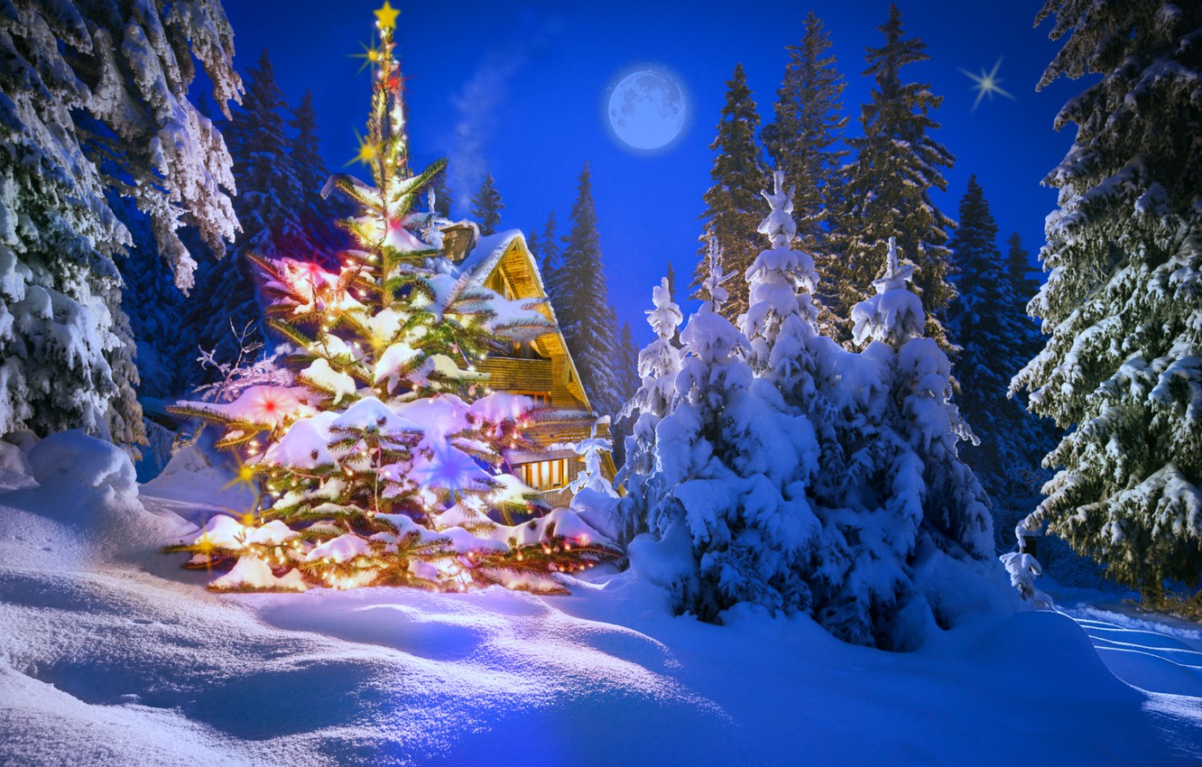 Wallpaper winter, night, holiday image for desktop, section новый год