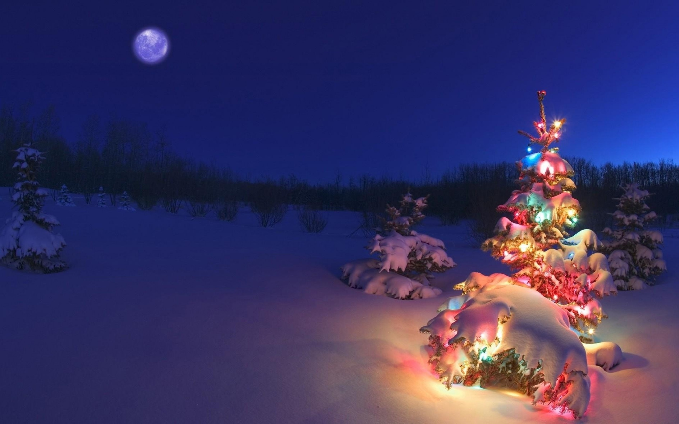 winter, Night, Moon, Christmas, Tree, Garlands, Nature Wallpaper HD / Desktop and Mobile Background