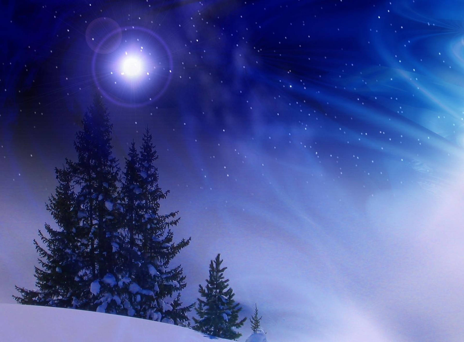 Download Christmas Tree Blue Night Blizzard Wallpaper
