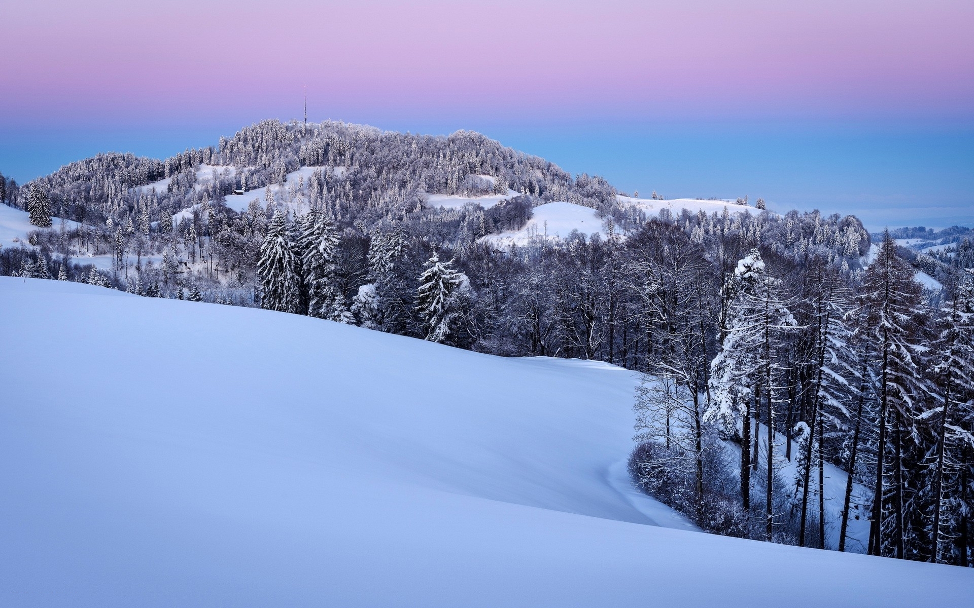 Snowy Hill Forest Pink Sky wallpaper. Snowy Hill Forest Pink Sky