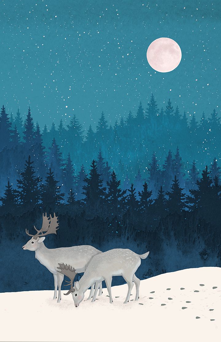 winter wonderland, illustration of christmas deer in the forest. Winter illustration, Forest art, Winter art