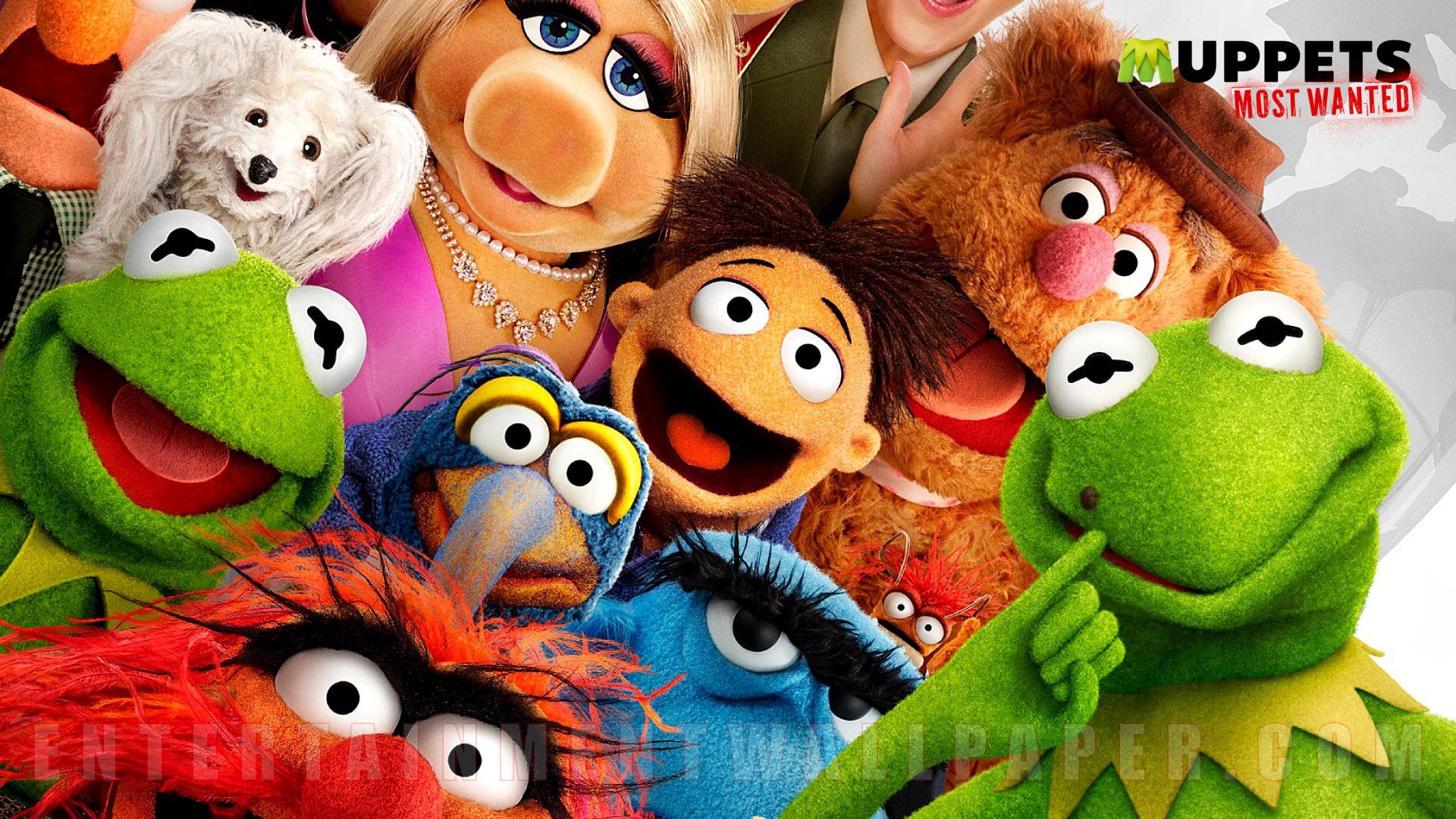 muppets, Most, Wanted, Adventure, Comedy, Crime, Puppet, Family, Poster Wallpaper HD / Desktop and Mobile Background