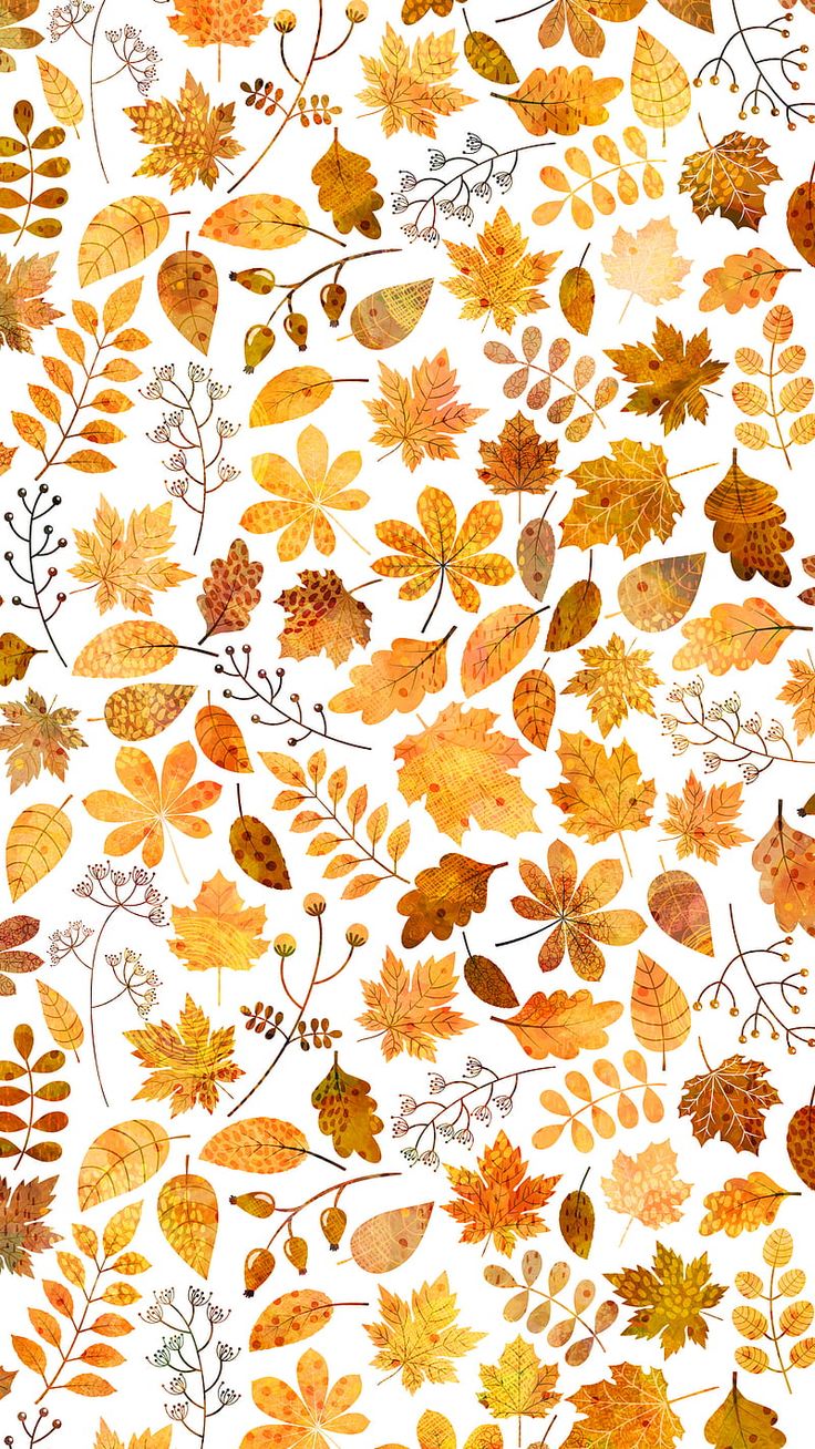 cartoon fall leaves wallpaper