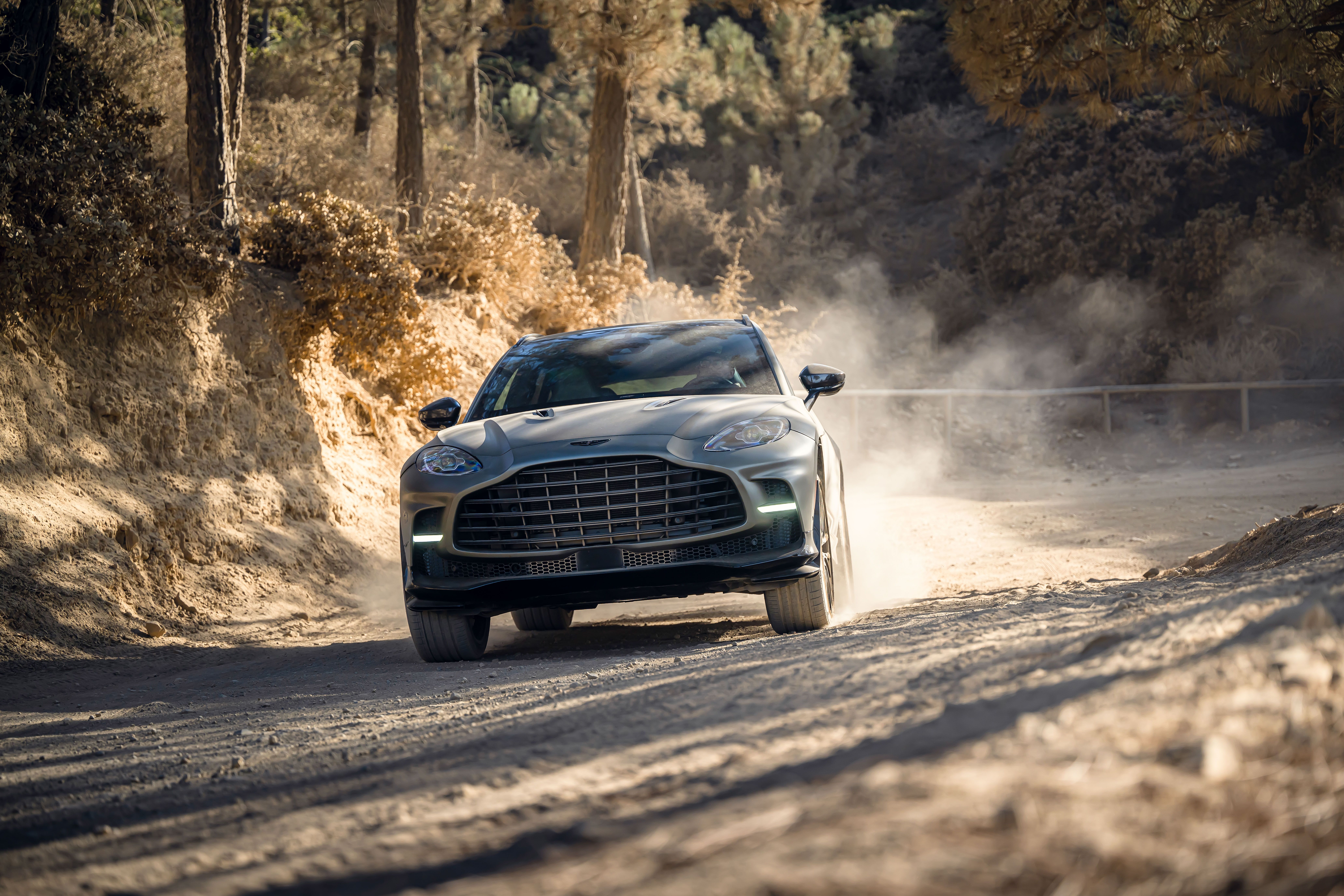 View Photo of the 2023 Aston Martin DBX 707