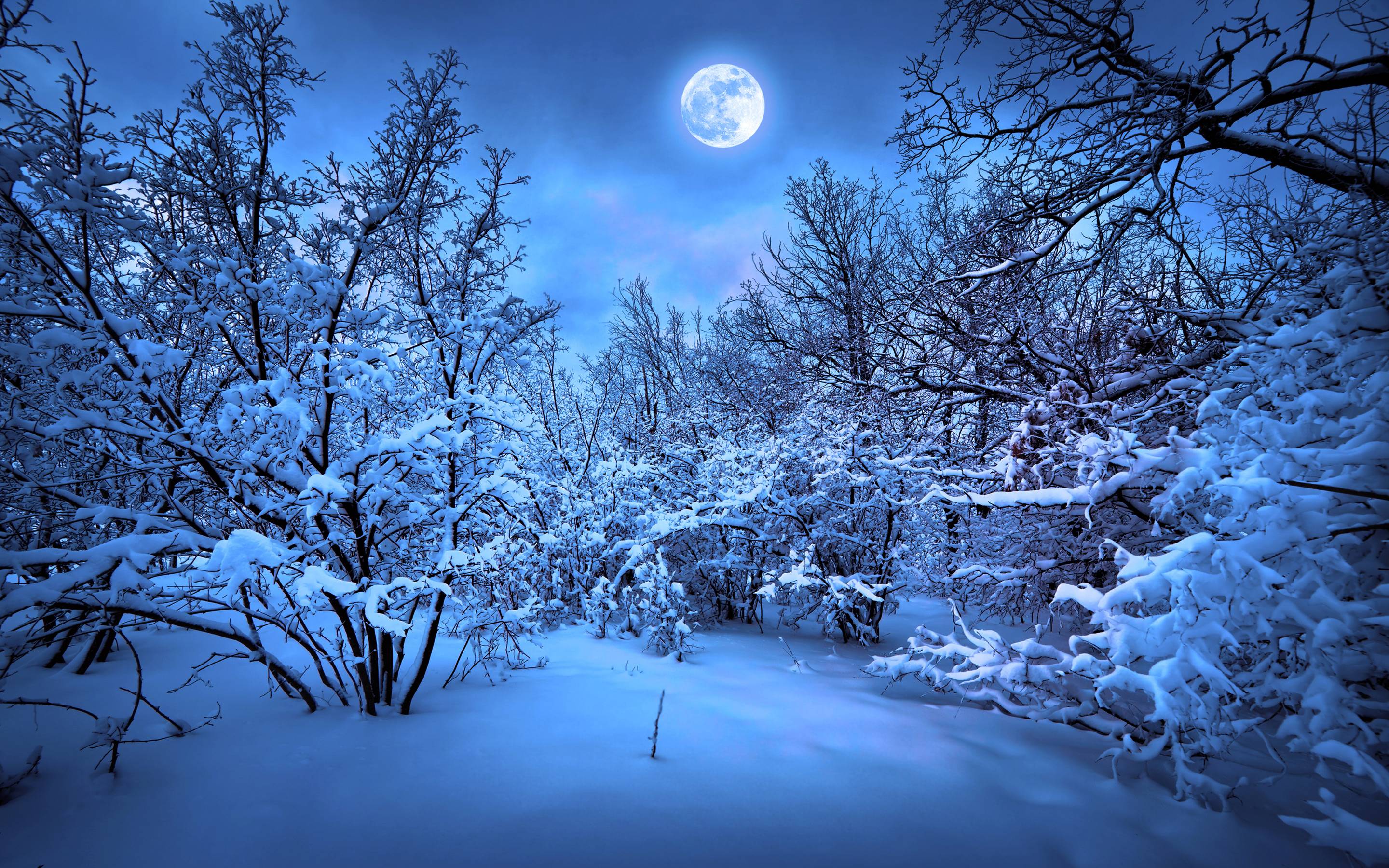 Blue Winter Snow Wallpapers Wallpaper Cave