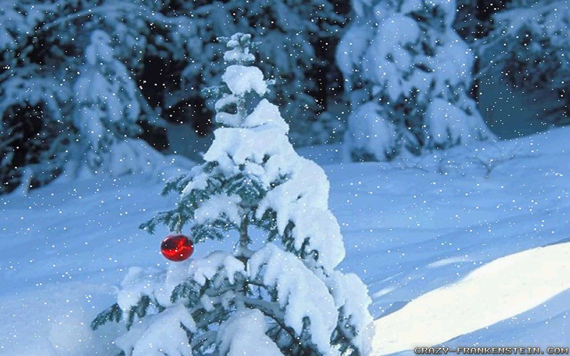 Winter Scene Desktop Background