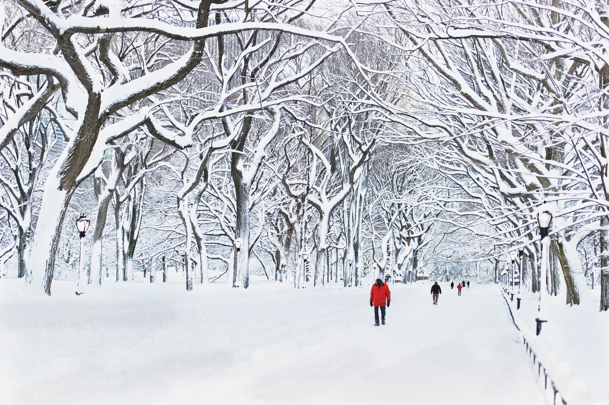 Beautiful Picture of Snow of Snow