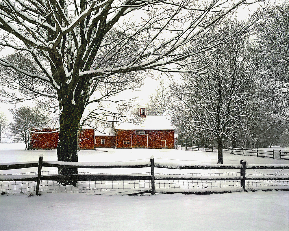 Jack McConnell's Winter in New England. Photo England Today