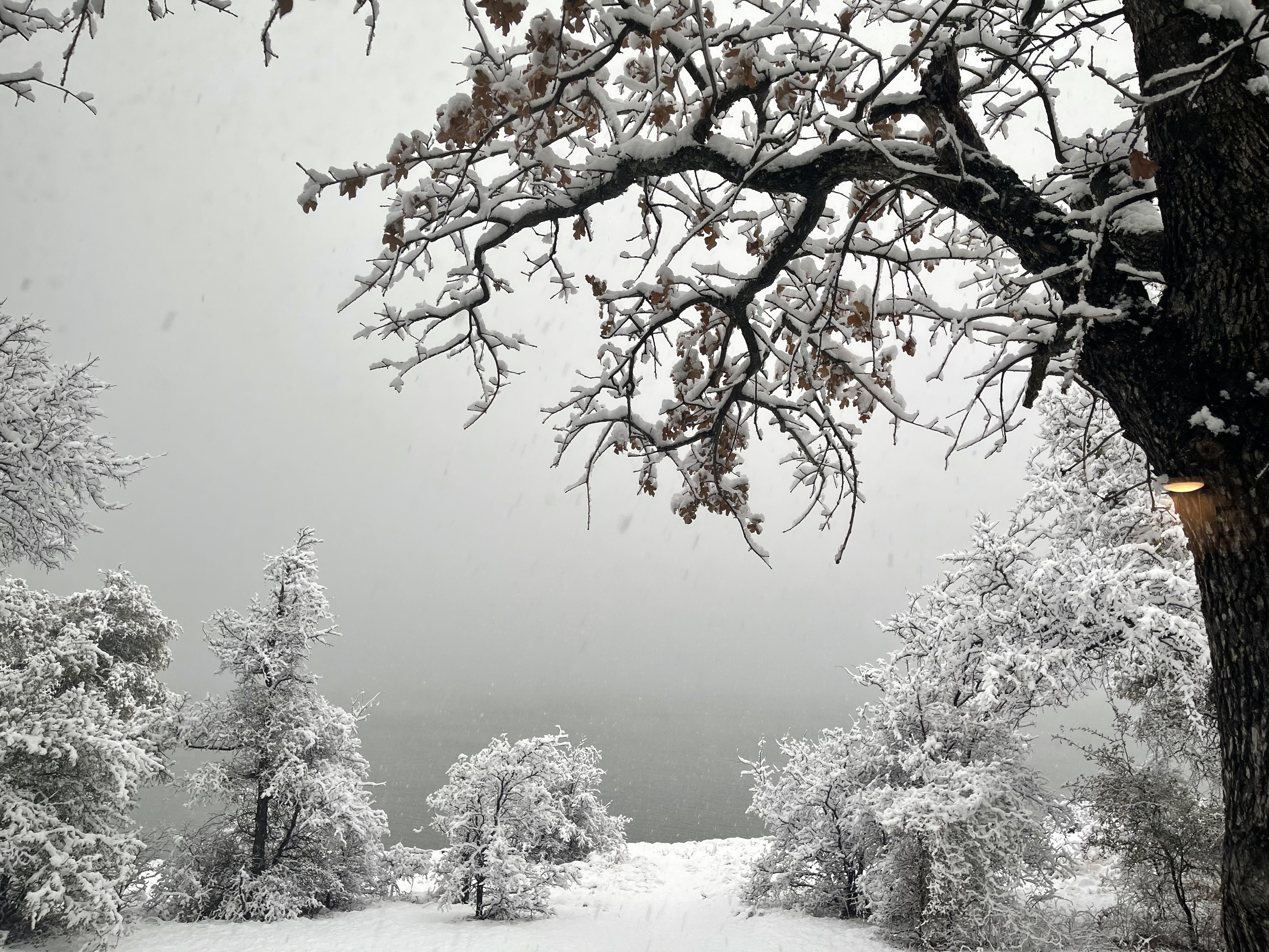 Viewers Share Photo as Snow Falls on North Texas