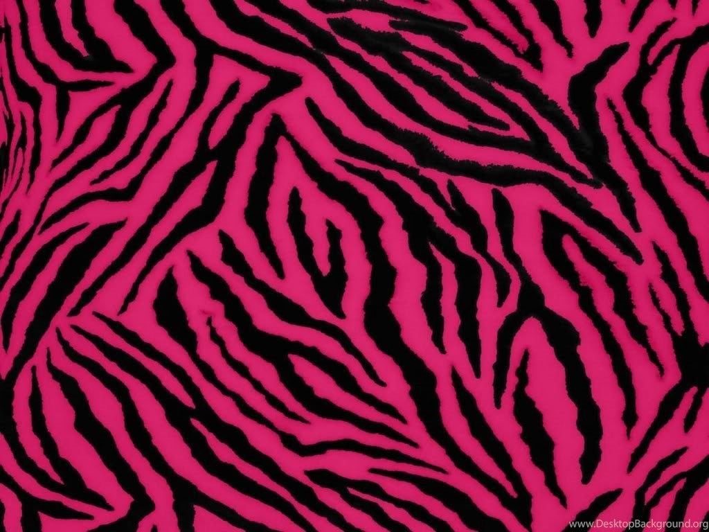 Pink and Black Zebra Wallpaper Free Pink and Black Zebra Background