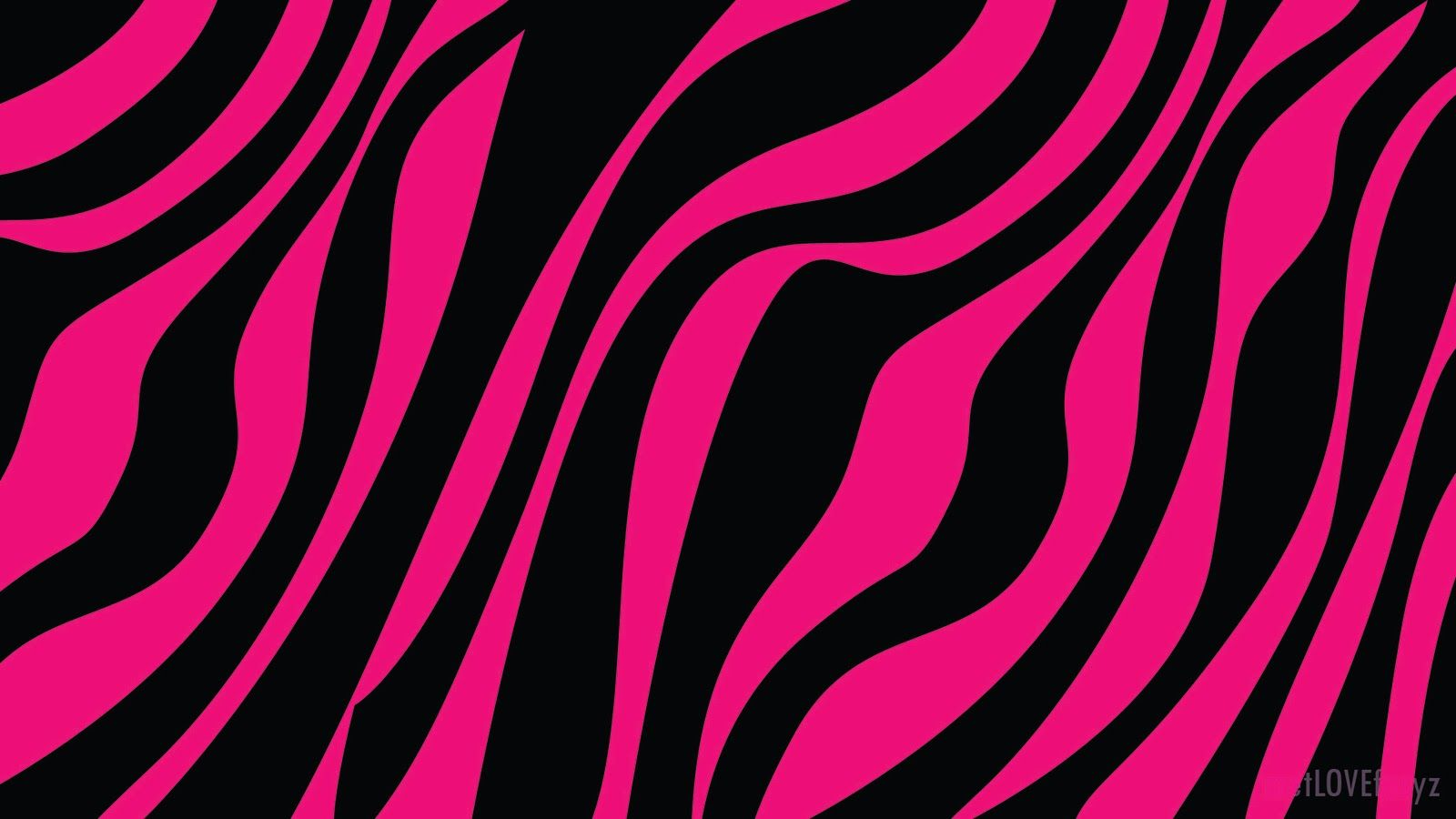 Pink and Black Zebra Wallpaper Free Pink and Black Zebra Background