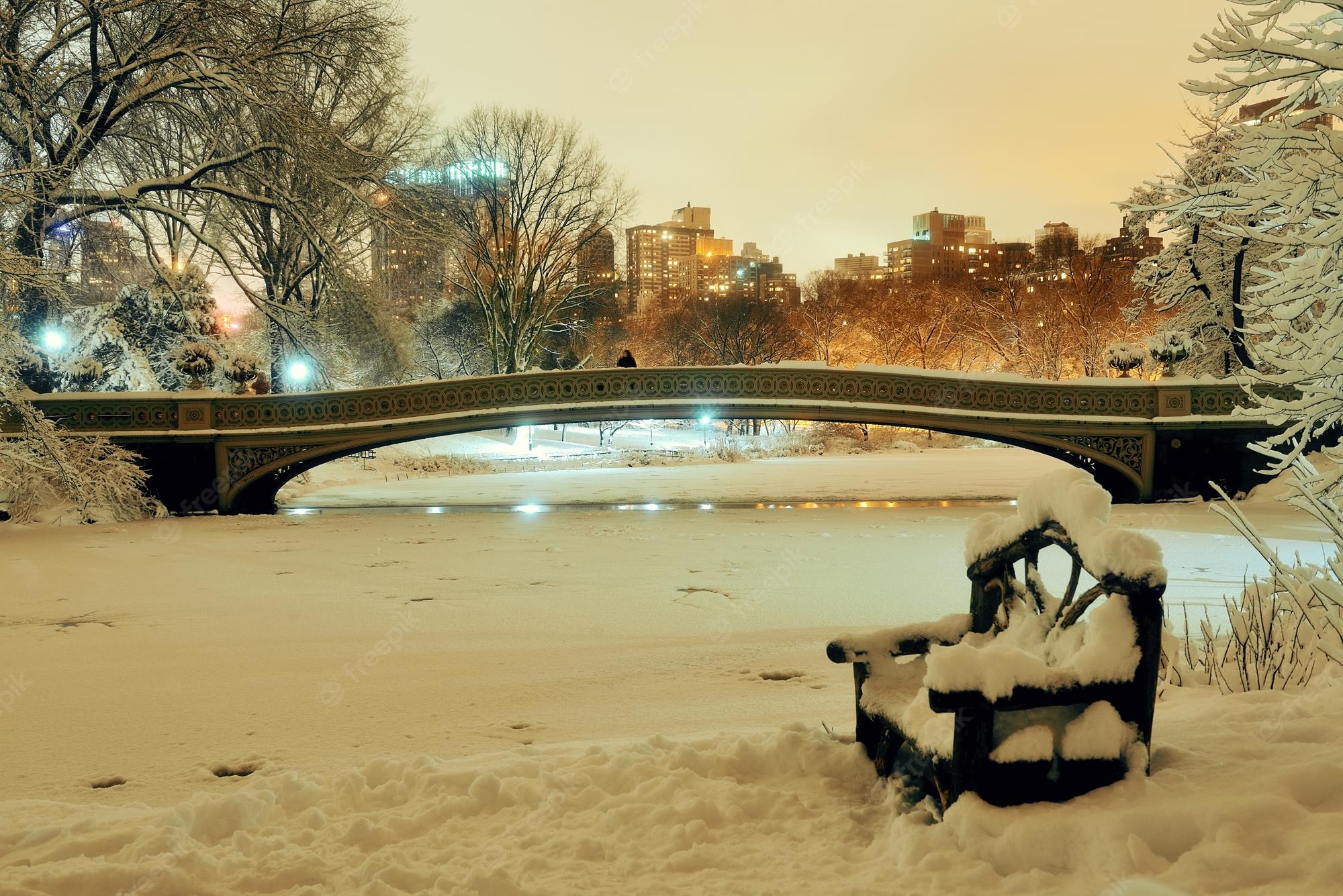 New york winter Image. Free Vectors, & PSD