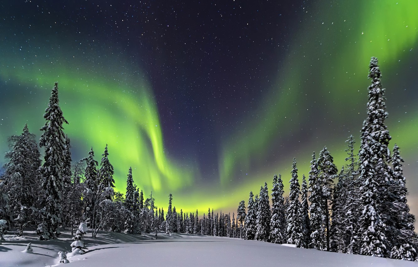 Wallpaper winter, forest, the sky, stars, snow, night, Northern lights image for desktop, section пейзажи