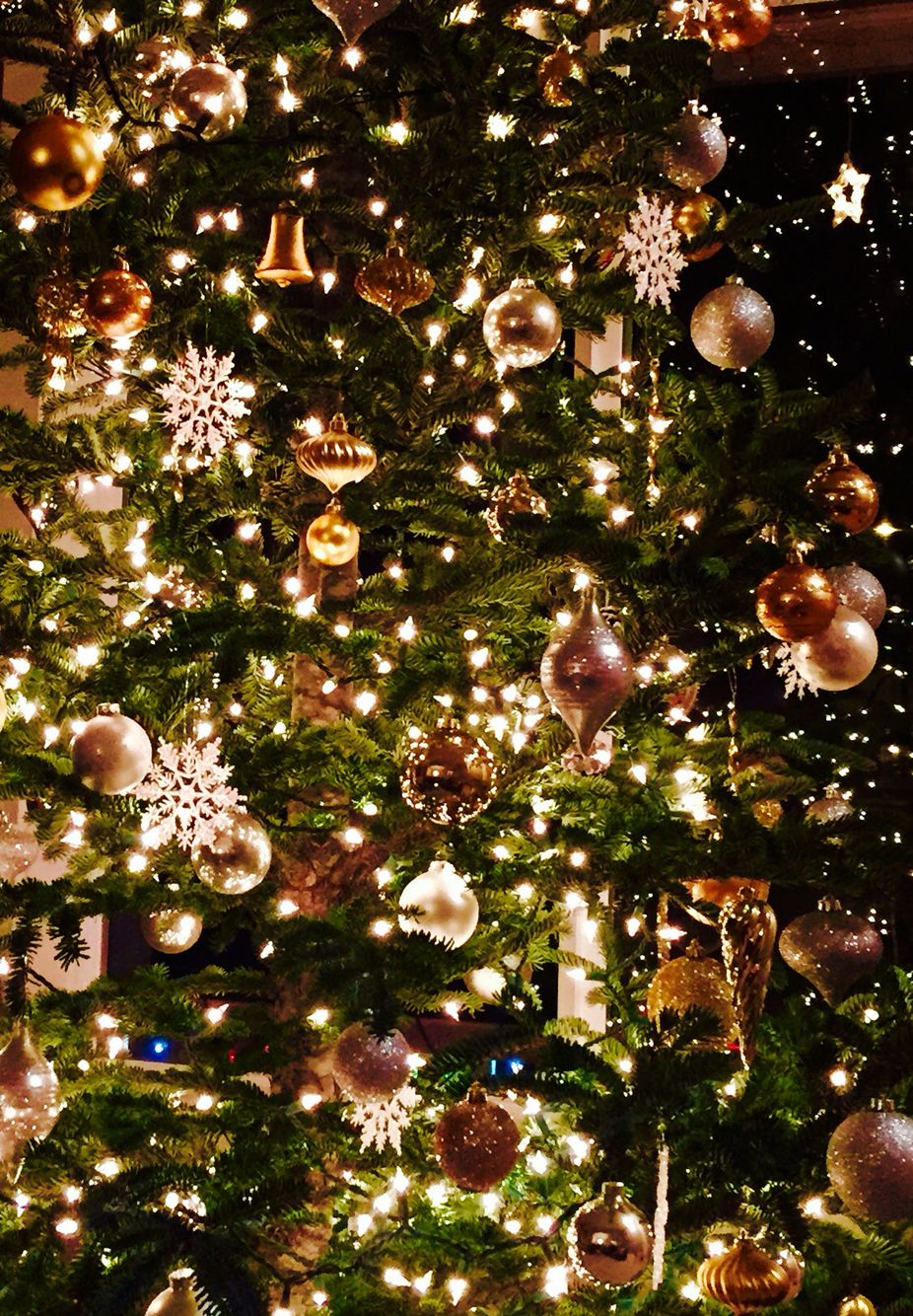 Oh Christmas tree. Christmas tree wallpaper, Wallpaper iphone christmas, Christmas phone wallpaper