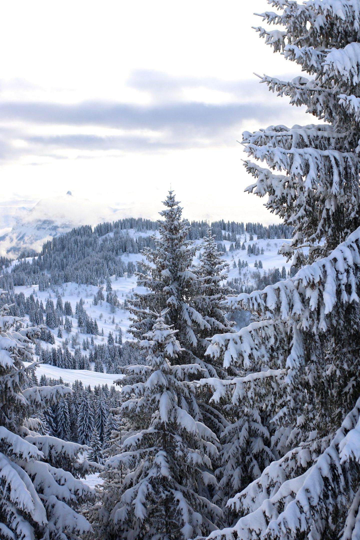 Five Reasons to Head to Morzine for your Winter Ski Trip. Winter picture, Winter scenes, Winter scenery