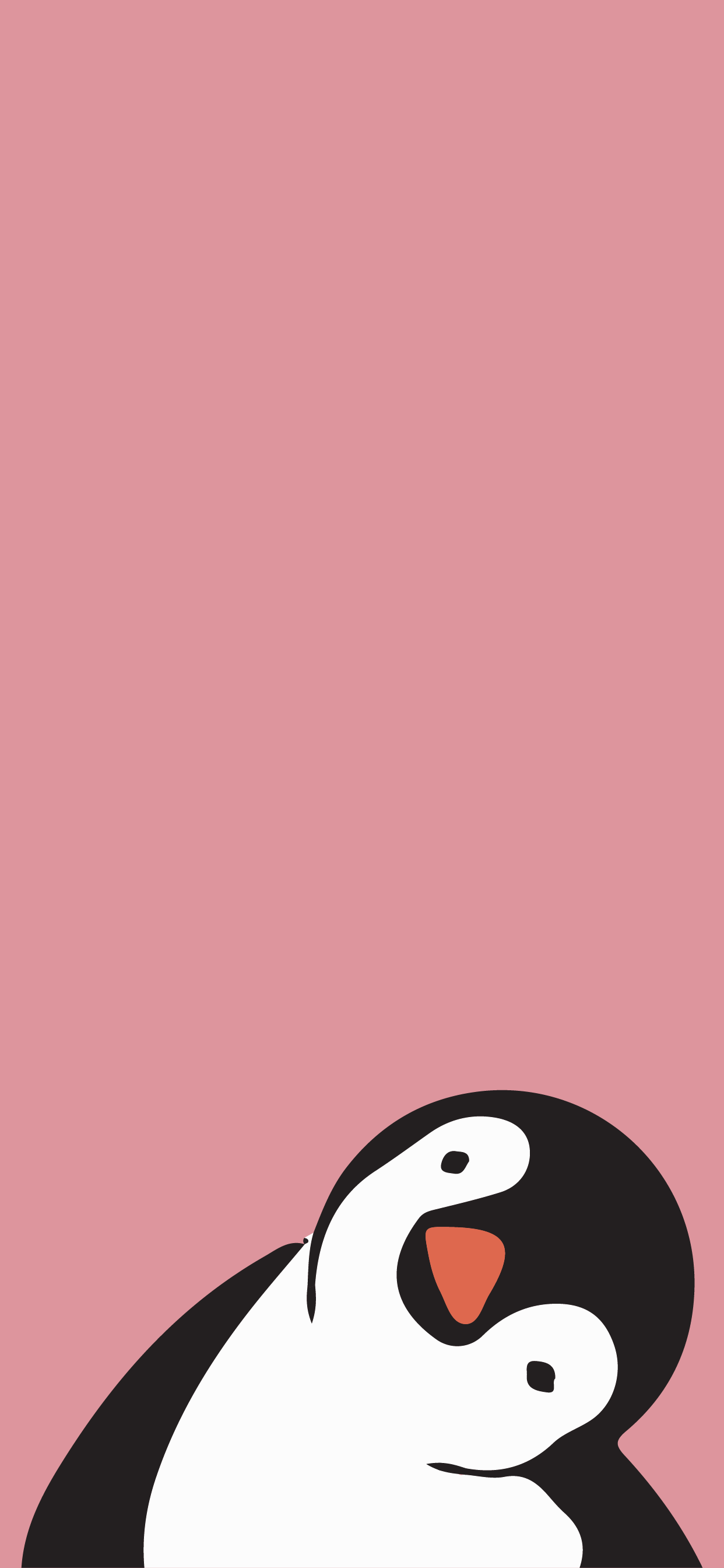 Penguin cute wallpaper HD for phone