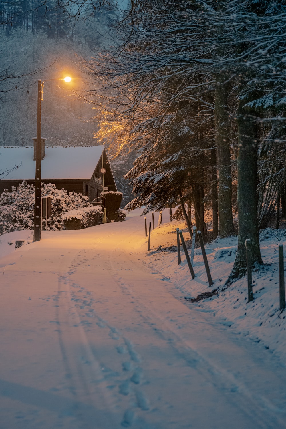 Best Snow Night Picture [HD]. Download Free Image