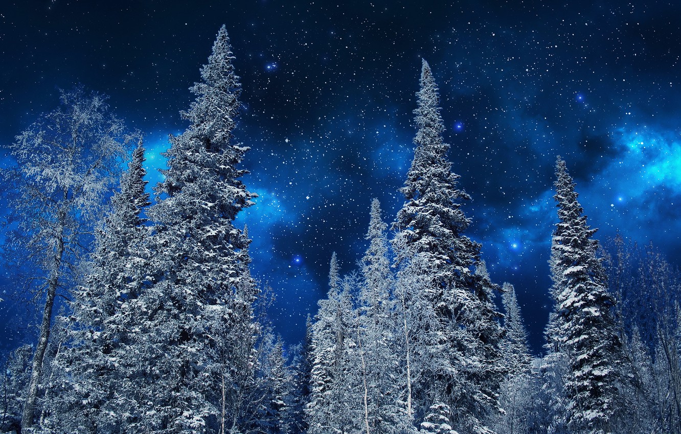 Wallpaper winter, the sky, snow, trees, night, nature, stars, ate, frost, Nature, sky, trees, night, winter, snow, stars image for desktop, section пейзажи