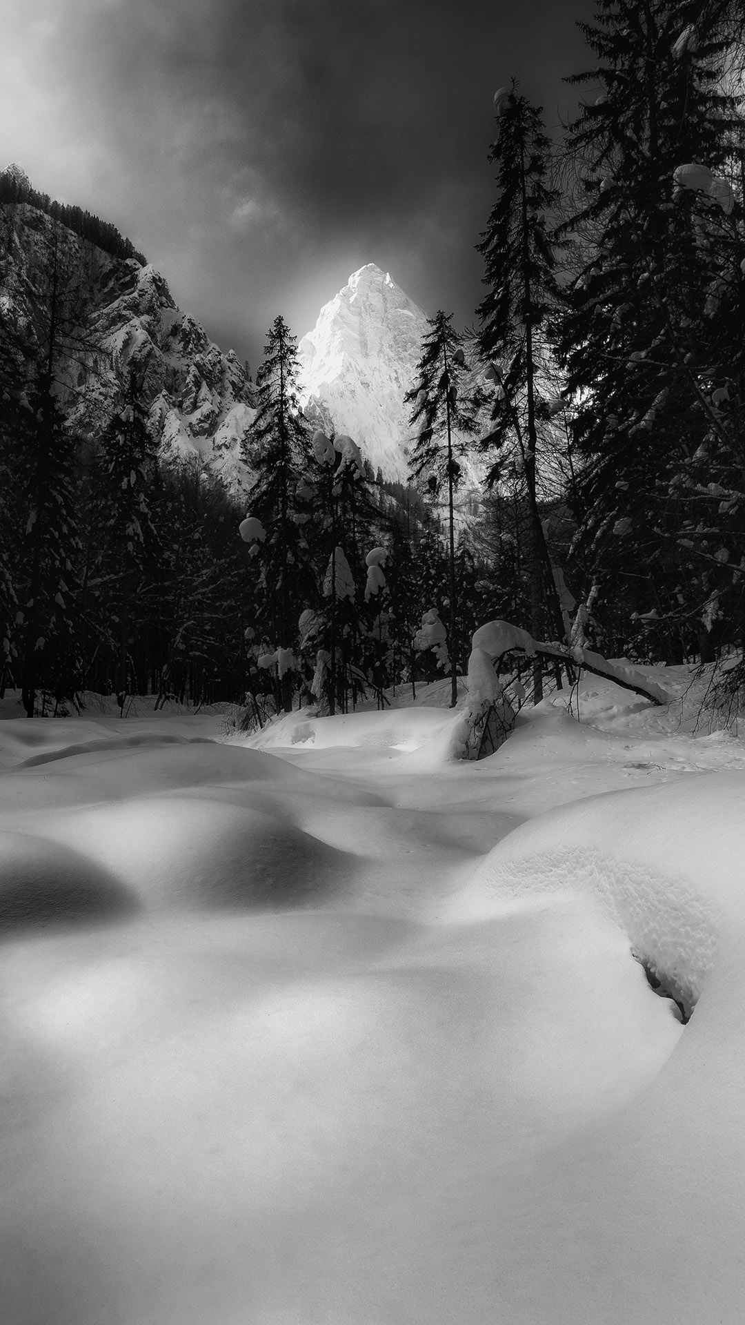 Dreamy Pixel. Free iPhone Wallpaper: Snowy landscape in black and white