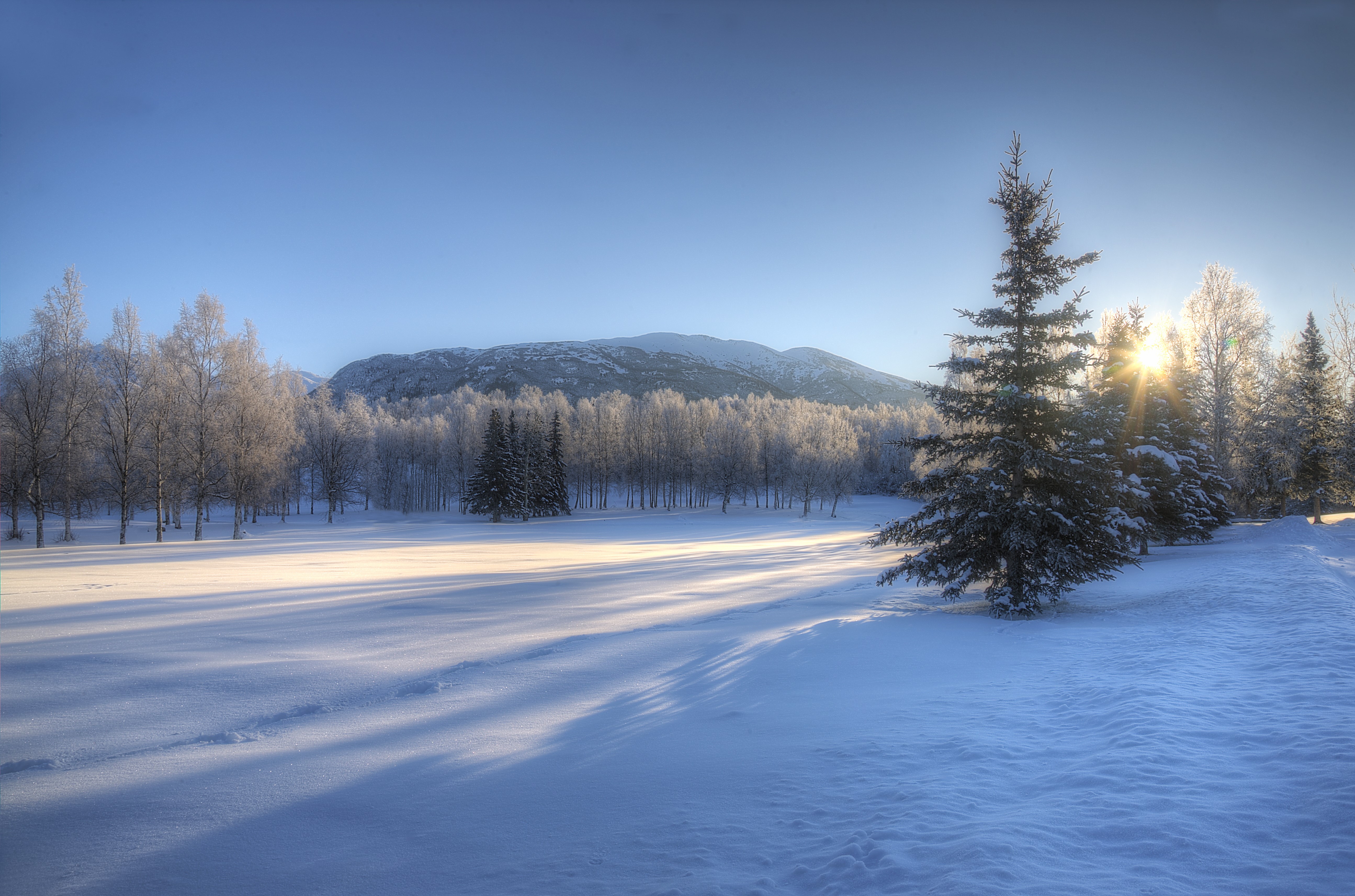 4K, 5K, Sunrises and sunsets, Winter, Sky, Forests, Trees Gallery HD Wallpaper