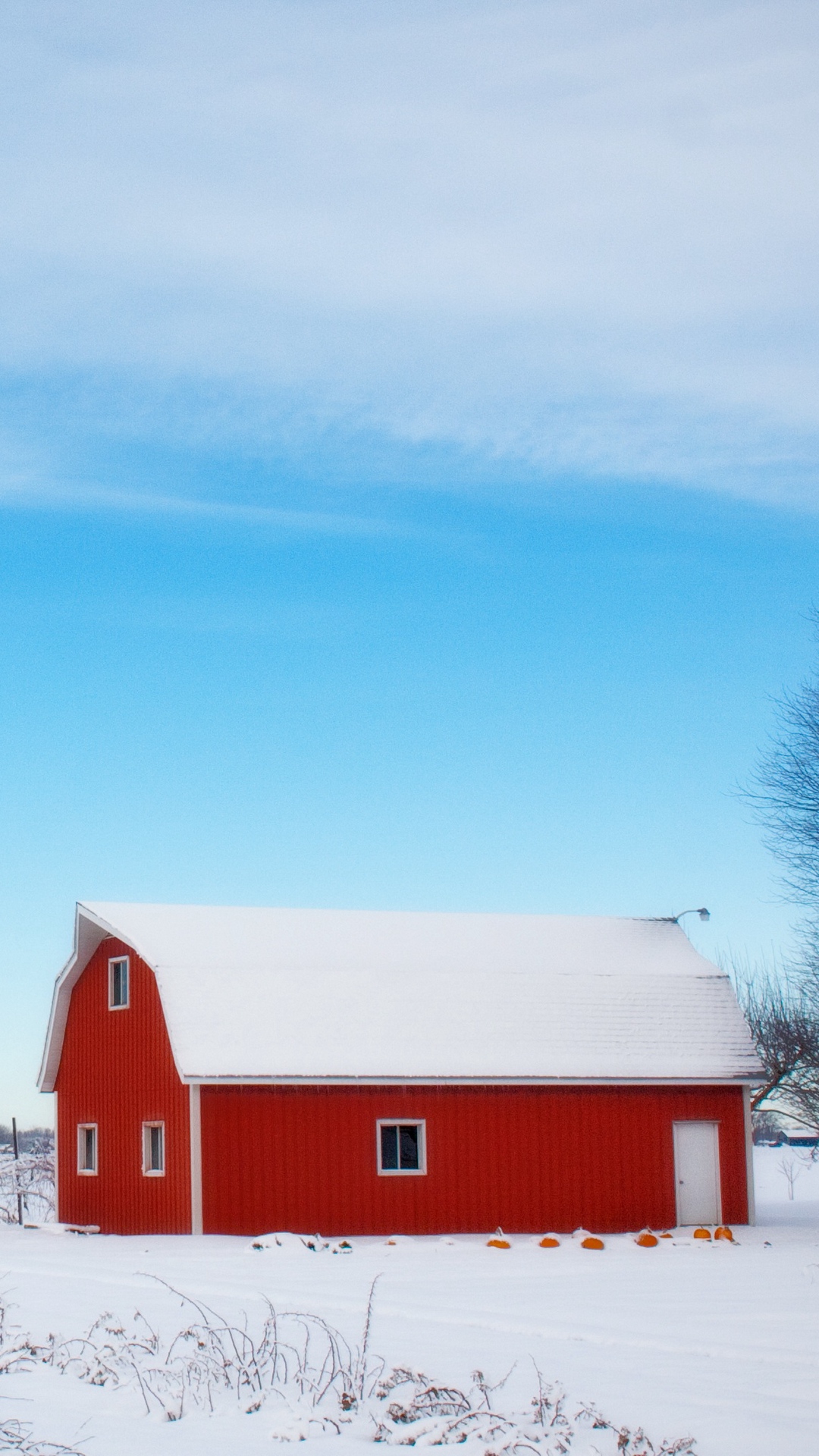 Barn Winter Sky Tree Wallpaper - [1080x1920]